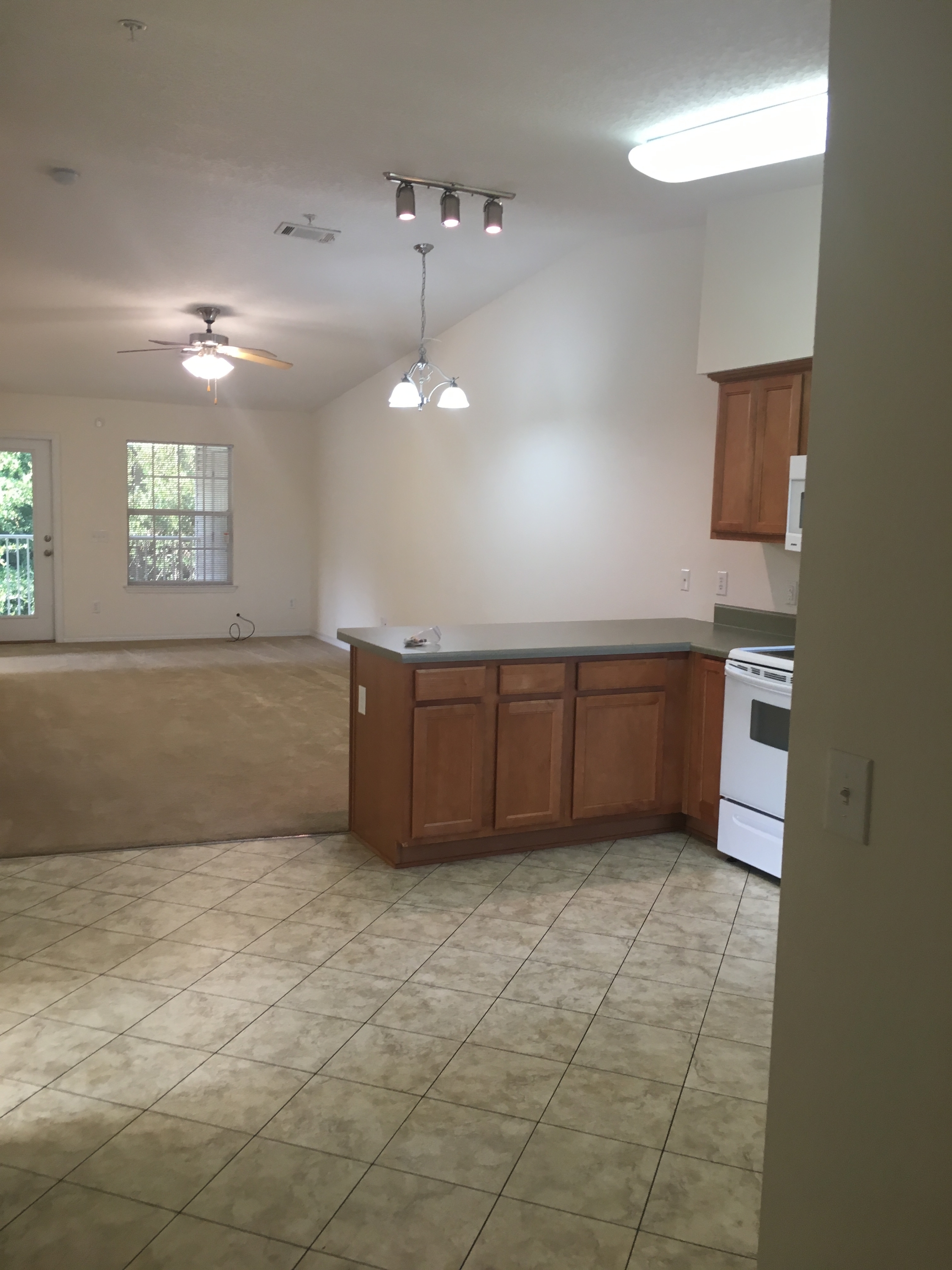 4672 Crossings Court   Apt. 201